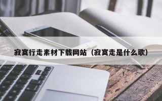海口寂寞行走素材下载网站（寂寞走是什么歌）