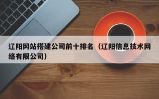 海口辽阳网站搭建公司前十排名（辽阳信息技术网络有限公司）